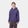 Carhartt WIP Hooded American Script Sweatshirt Aura Clearance