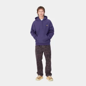 Carhartt WIP Hooded American Script Sweatshirt Aura Clearance